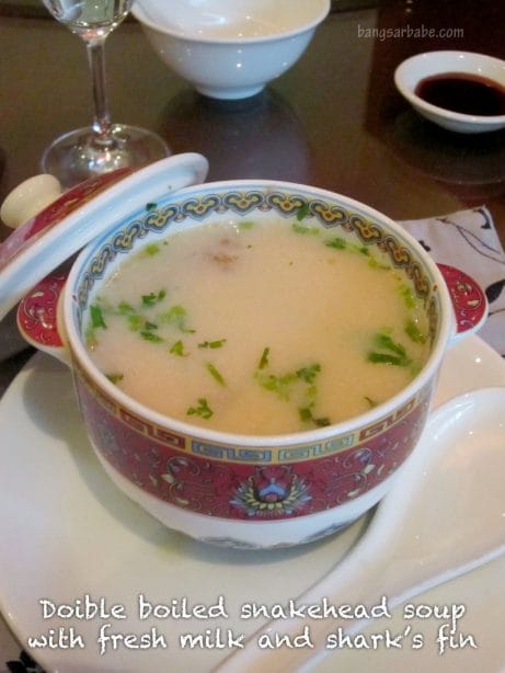 Double boiled snakehead nourishing tonic soup with fresh milk and shark’s fin