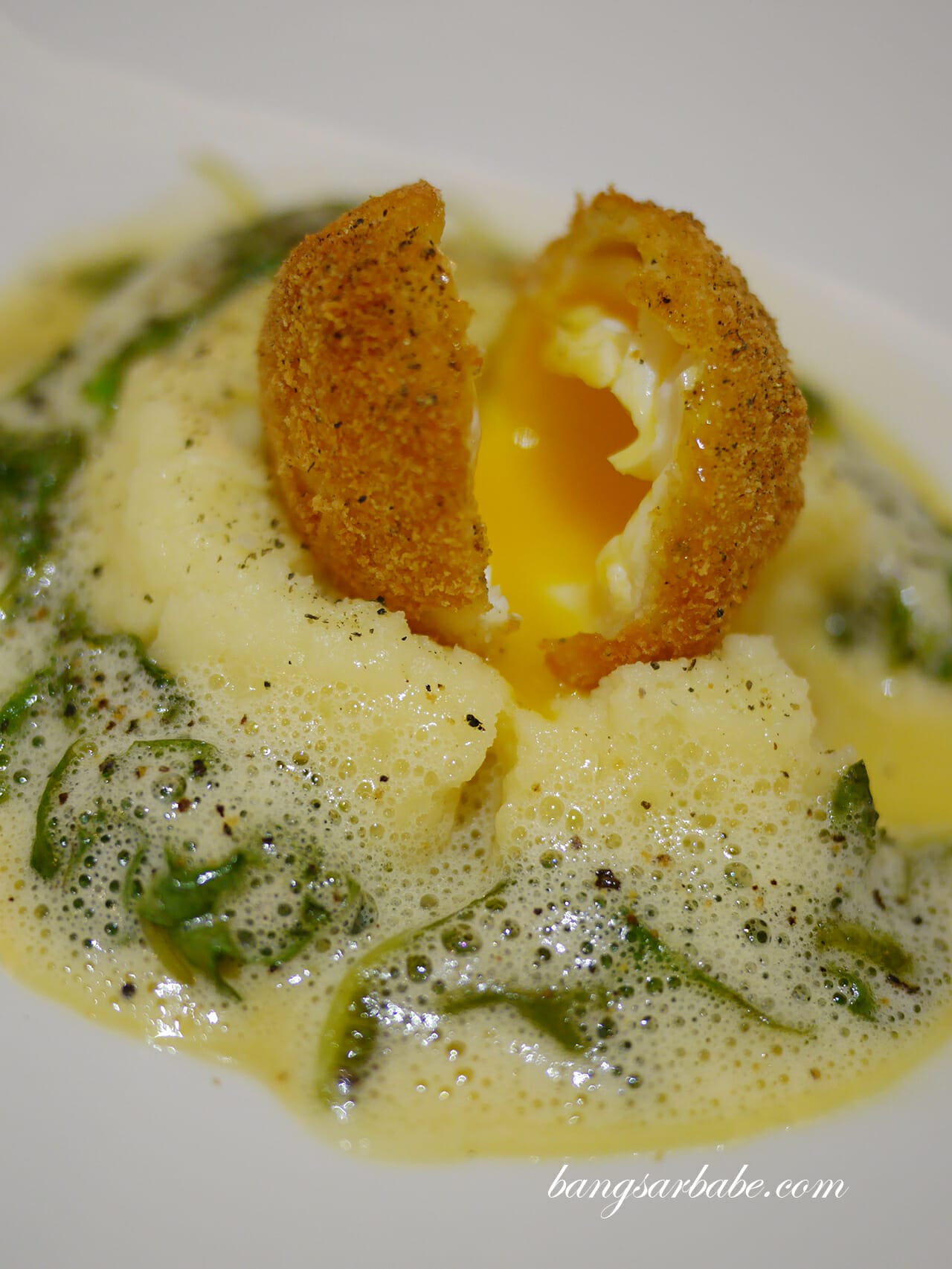 Panko fried soft organic egg